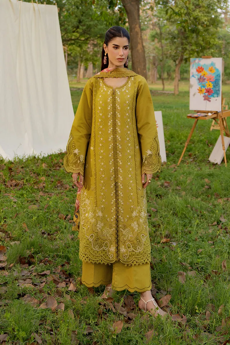 Rang Rasiya - HAYA