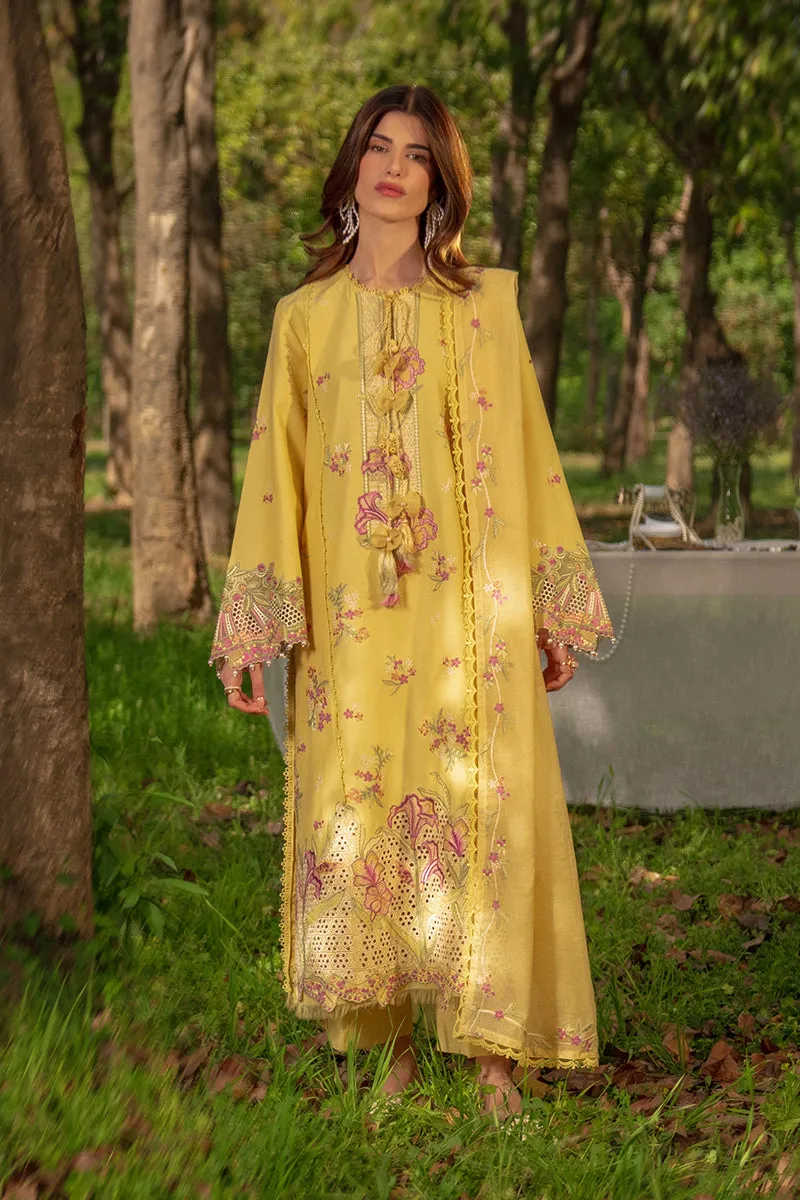 Rang Rasiya - MYSHA