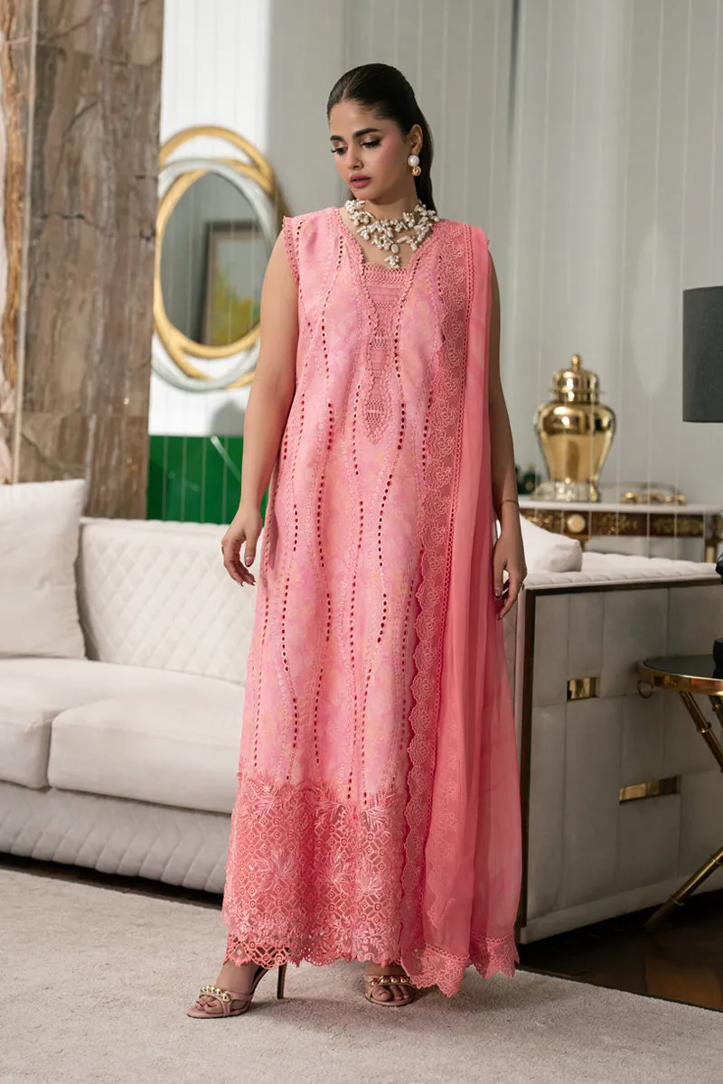Rang Rasiya  Carnation - ZOEY