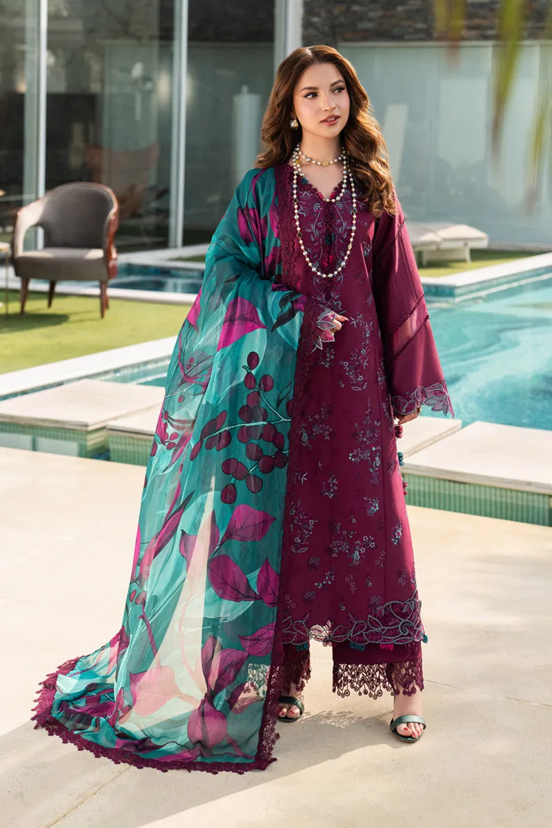 Rang Rasiya Carnation - KAIA