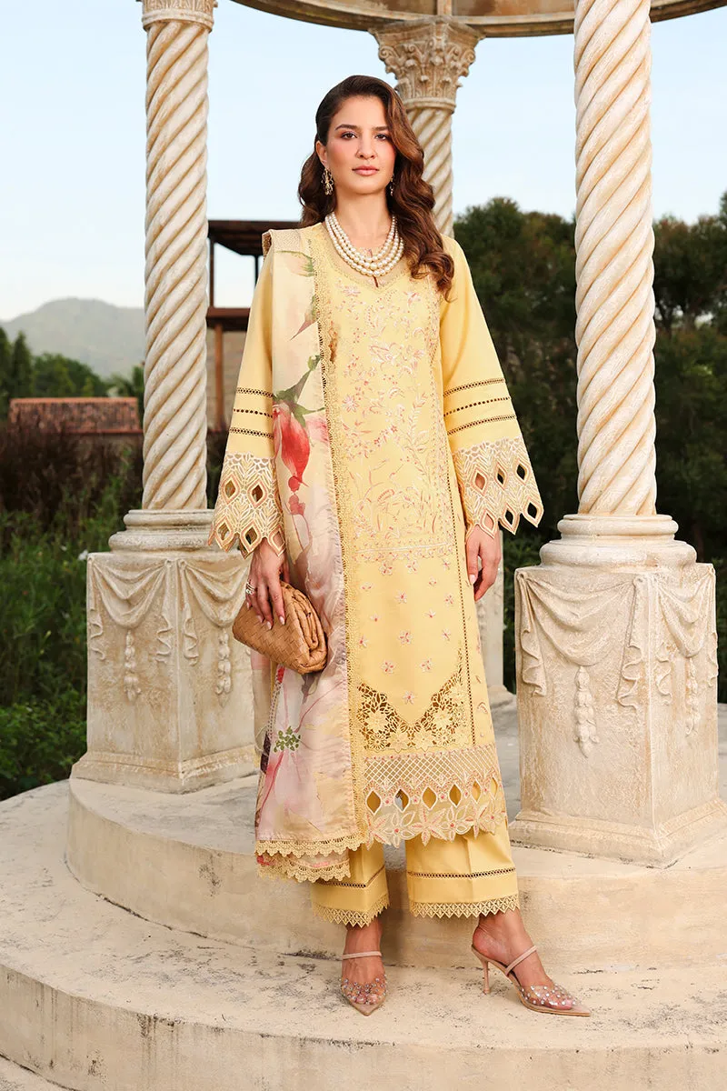 Rang Rasiya Florance - MIRHA