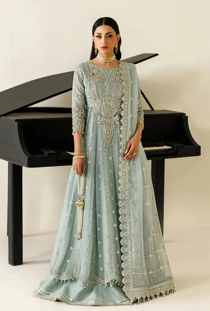 Alizeh Aymal Chiffon Formals 4070 - SINOOR