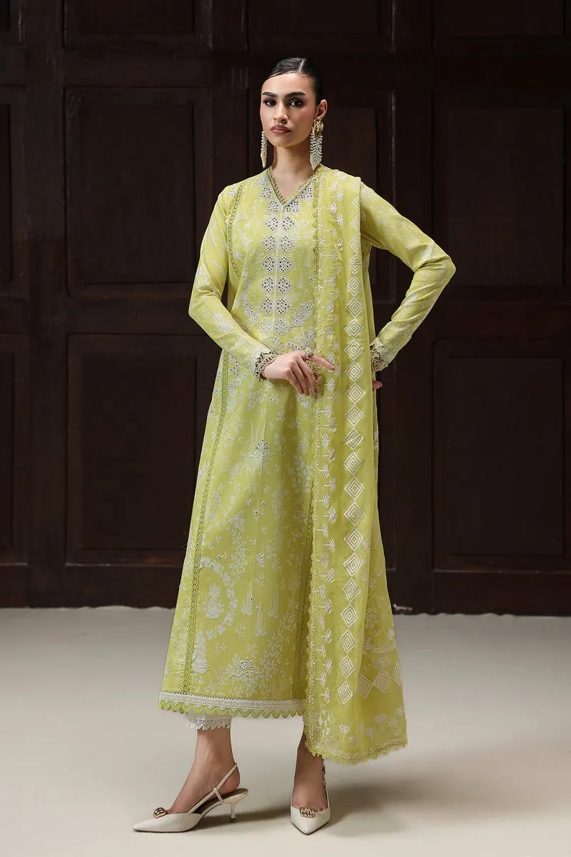 Qprints QQP-06 (B) ZOHRA